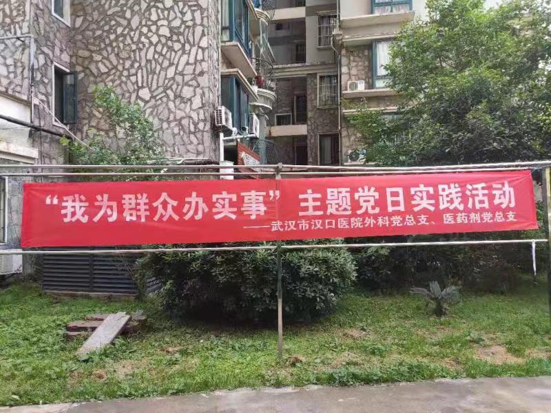 “我为群众办实事”主题*党**日实践活动