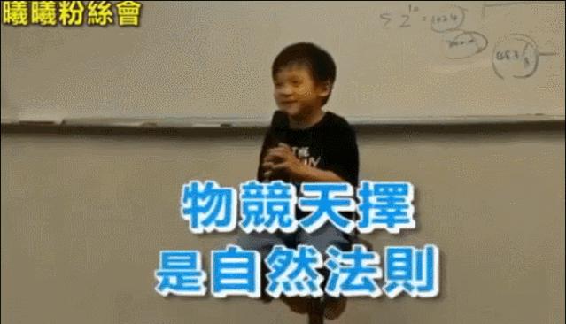 中科大小神童,12岁考中科大的神童现状