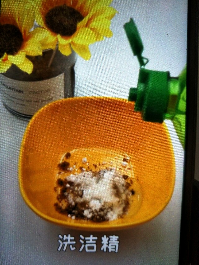 不买蟑螂药怎么轻松消灭蟑螂,用蟑螂药能彻底清理蟑螂吗