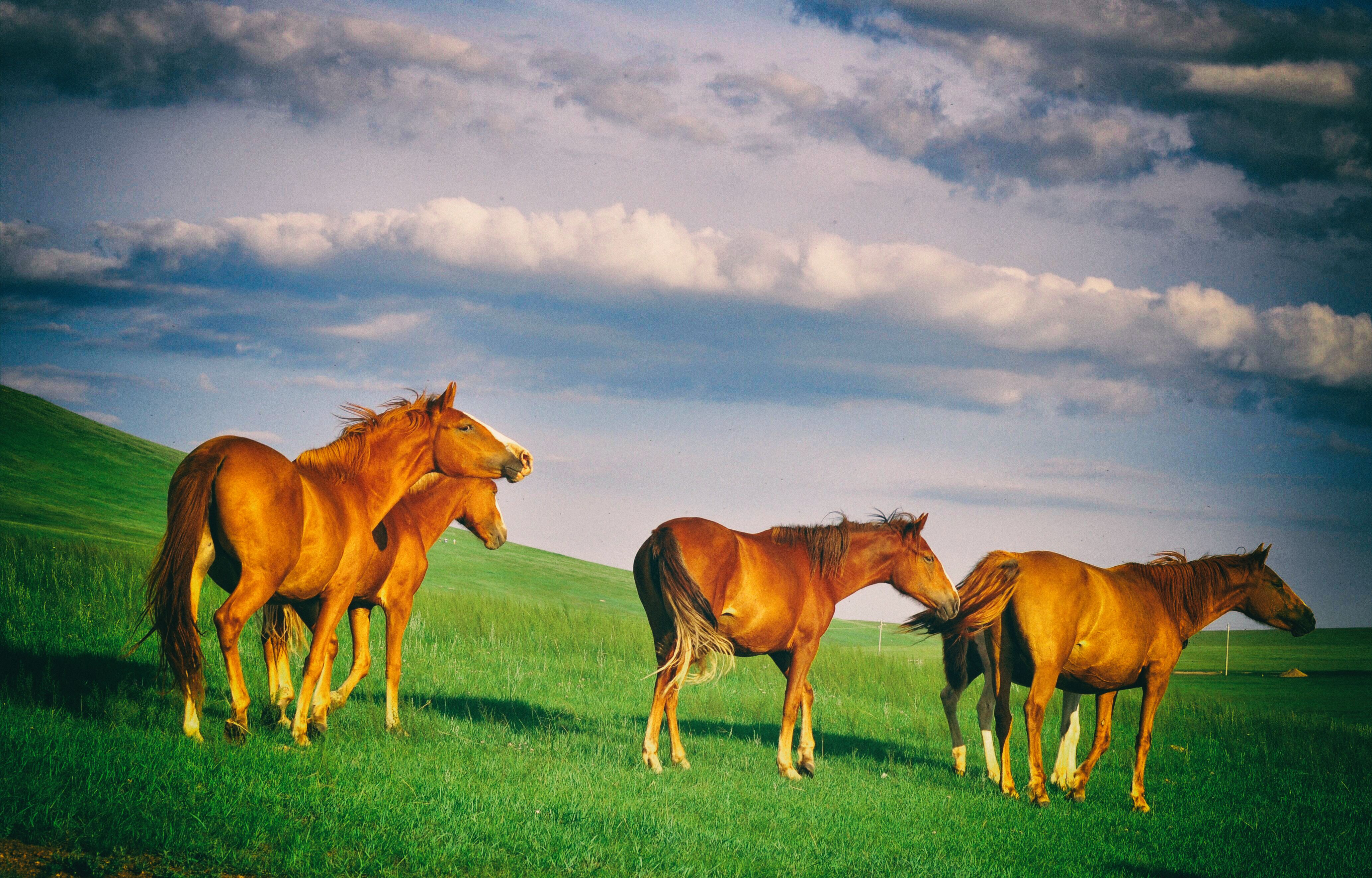 一次特别的东北旅行,历时18天的东北边境行