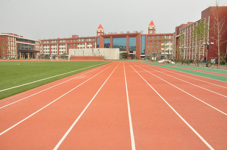 保定衡中贺阳557分,保定贺阳衡水分校高考成绩