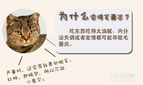 毛囊炎症状如何治疗,怎么预防痤疮毛囊炎加重