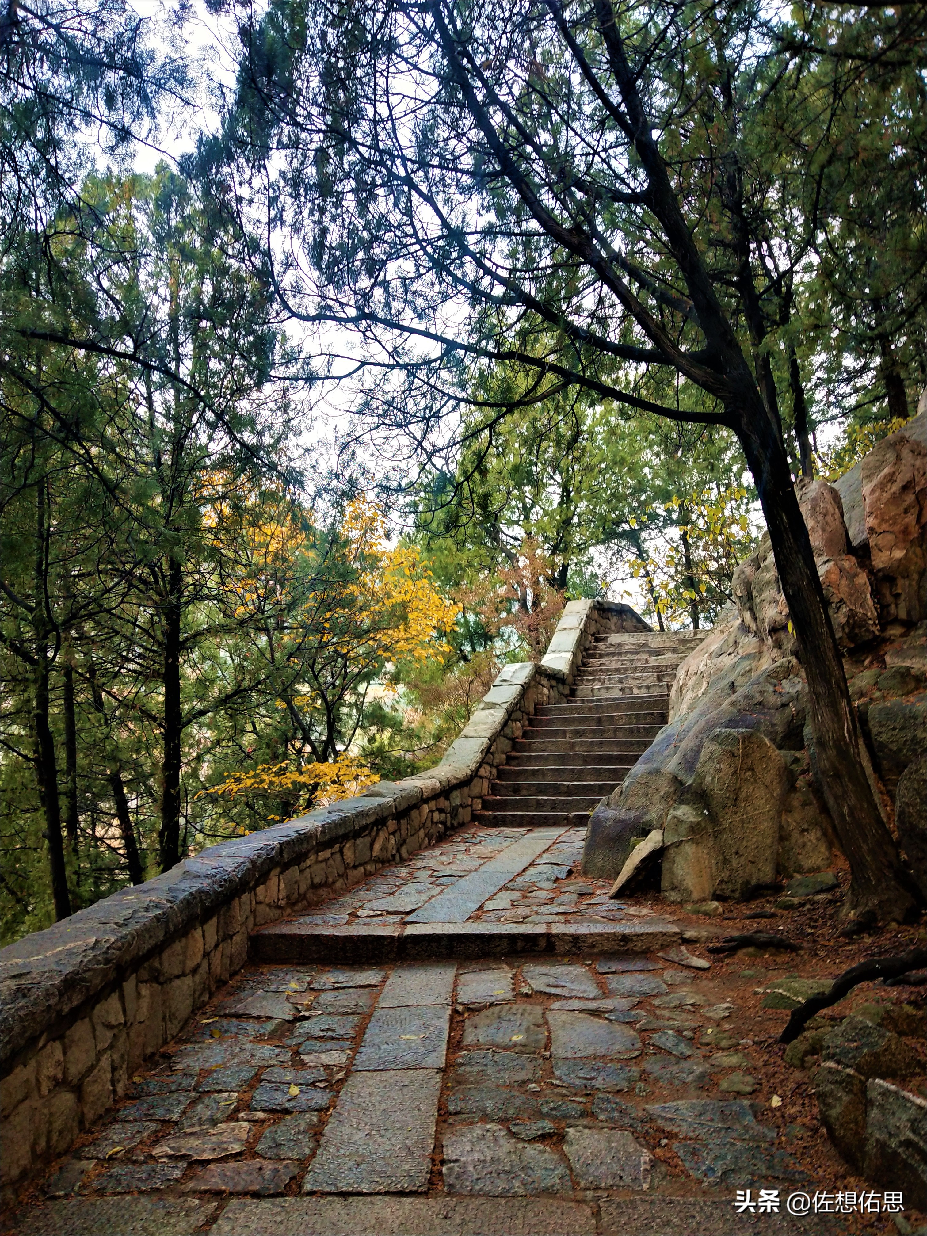 泰安扇子崖免门票吗,扇子崖门票多少钱