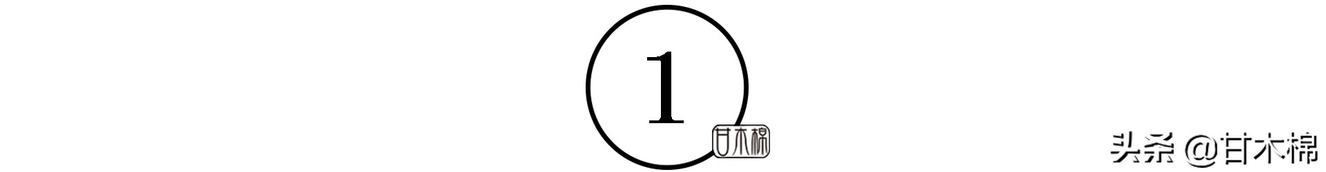 童年野果子,儿时的野果子总让人回味无穷