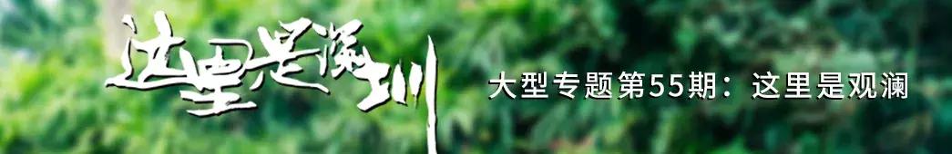 观澜有没有价值,观澜发展得起来吗