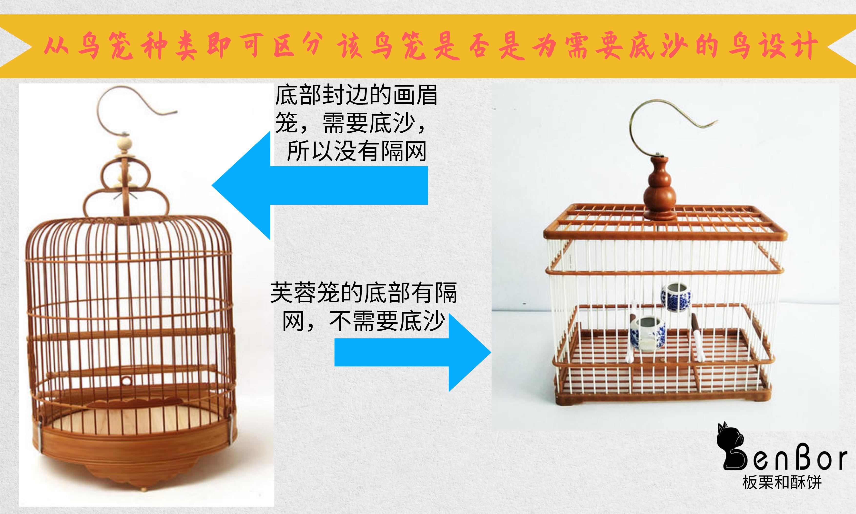 养鸟人必备技能,养鸟都需要做些什么