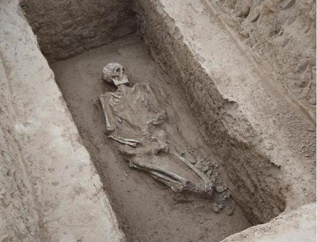 7300年少女现陕西，体内18种凶器35处致命伤，仅因身体一缺陷