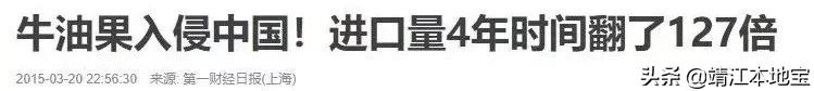 牛油果的营销词语,牛油果营销成功的因素有哪些