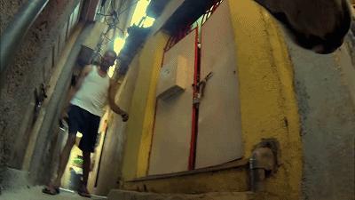 养一只流浪狗的感受,流浪狗的真实内心独白