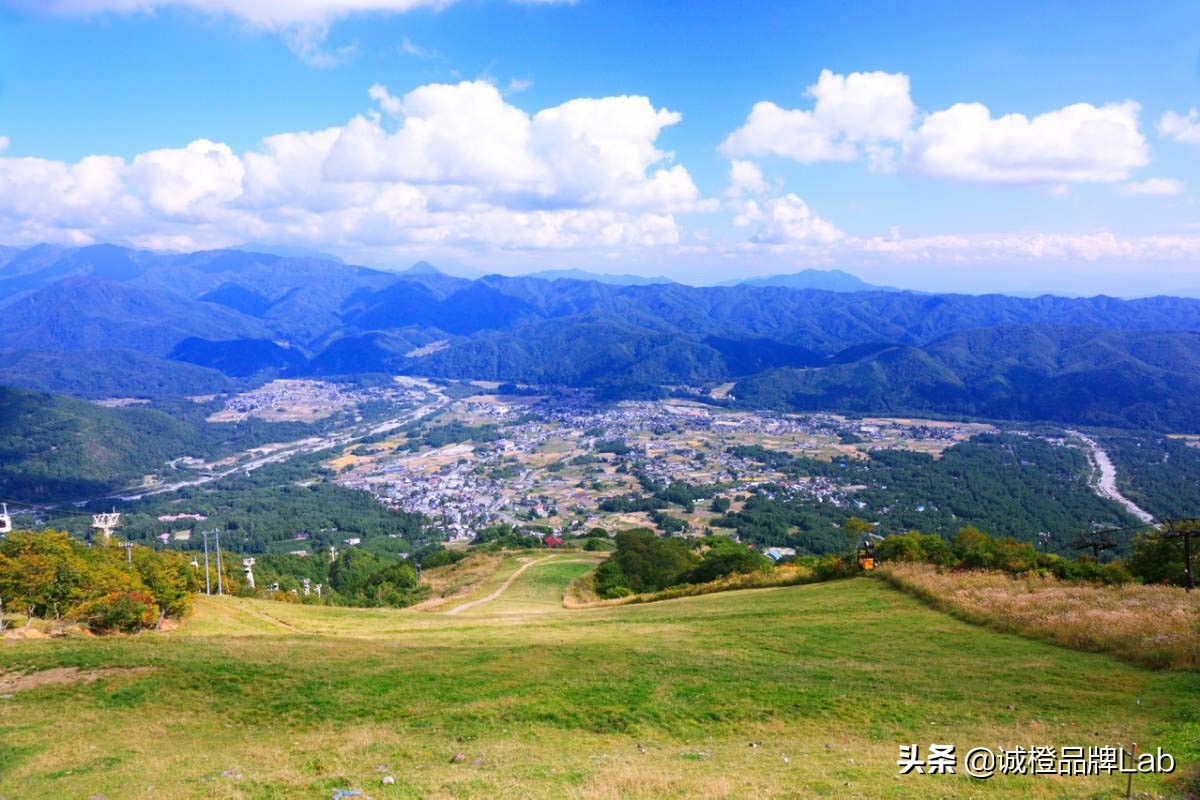 乡村内生活力,乡村发展的活力表现在诸多方面