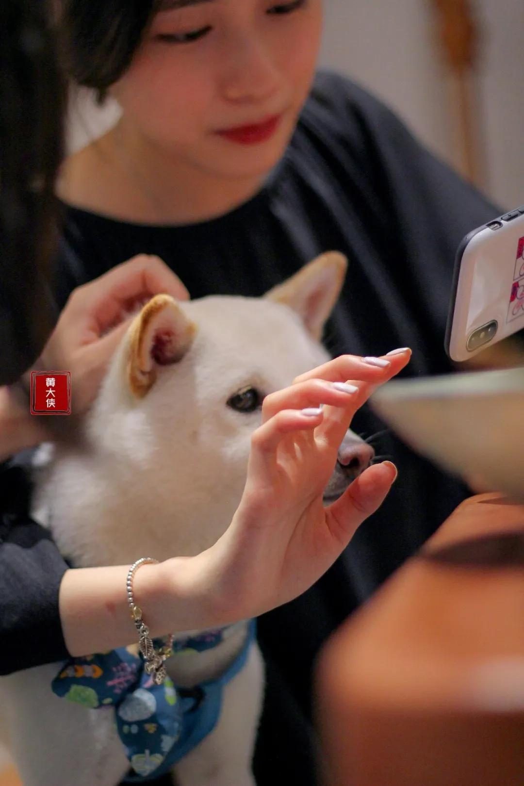一人食店铺清单,一人食小店推荐