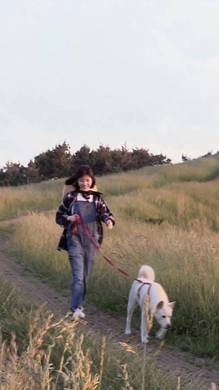 伤感的爱情语录,悲凄伤感的爱情语录