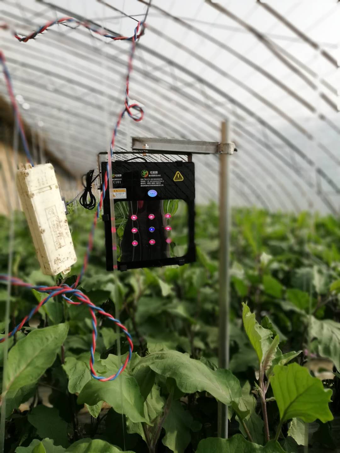 浴血奋战严寒,内蒙古通辽遭遇雪灾