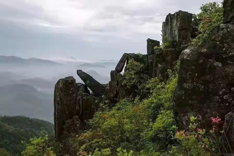 温州5个宝藏古村,温州宝藏打卡地
