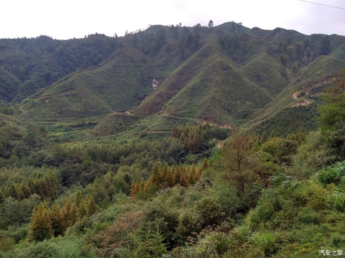 黄山区岭上旅游景点,黄山区苏雪林故居景点