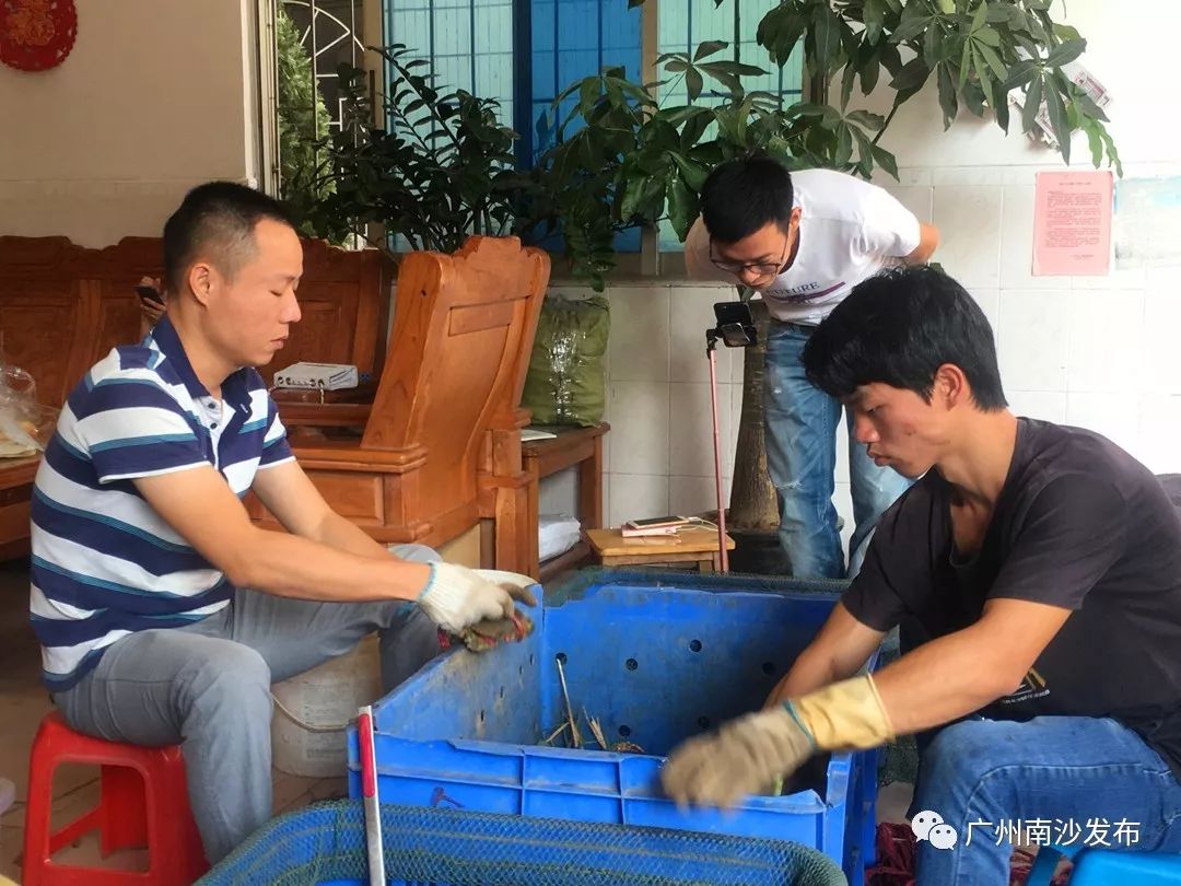 鲜活花盖蟹海鲜直播卖货,新鲜海蟹直播卖货