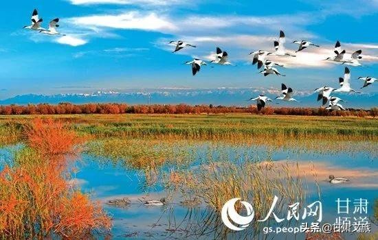 张掖旅游免门票政策最新,甘肃旅游景区免门票条件是啥