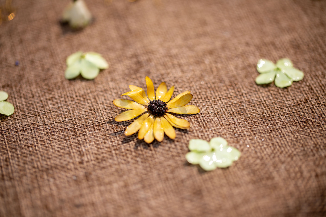 收藏春天的教程,怎么收藏春天