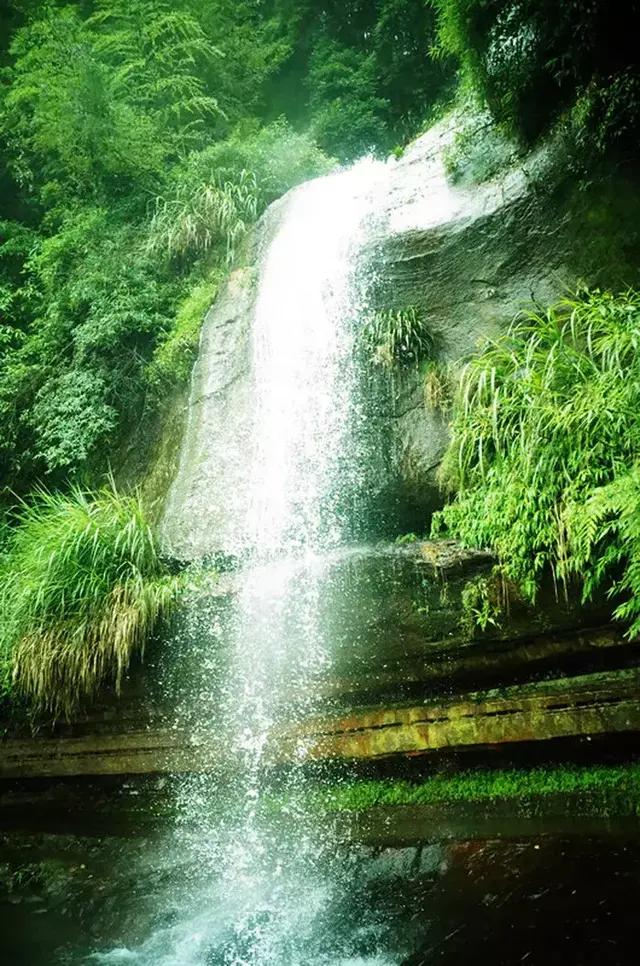 宜宾市长宁蜀南竹海,我的中国行