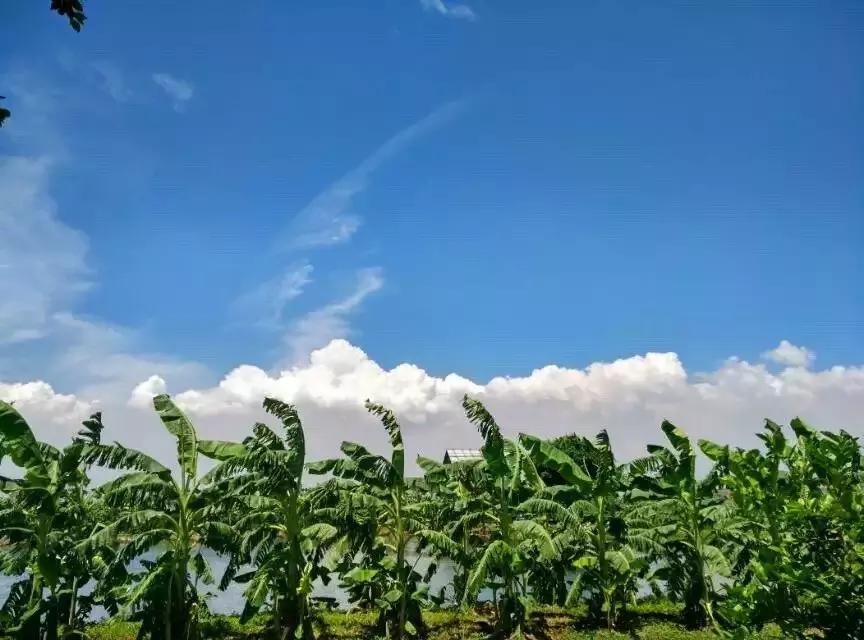 广州的这8个小岛，人少又免费，适合大小情侣的去处