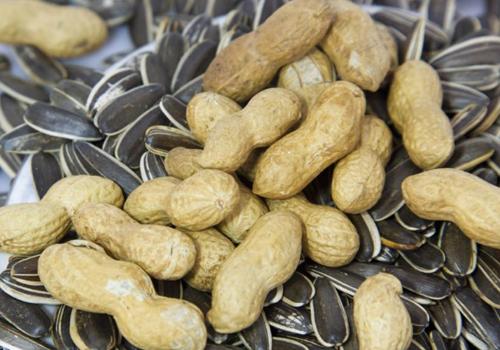 疲劳过度缺乏睡眠吃什么补充,睡眠不好容易疲劳吃什么