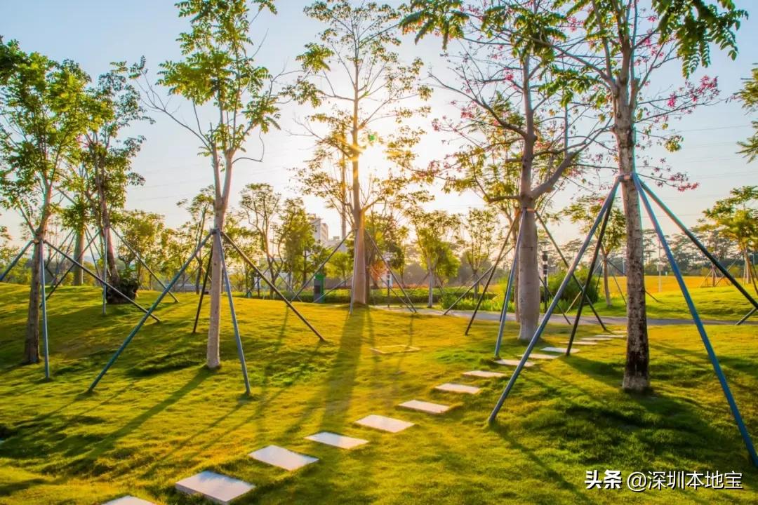 深圳免费的景点有哪些地方,深圳有哪些免费又好玩的地方景点