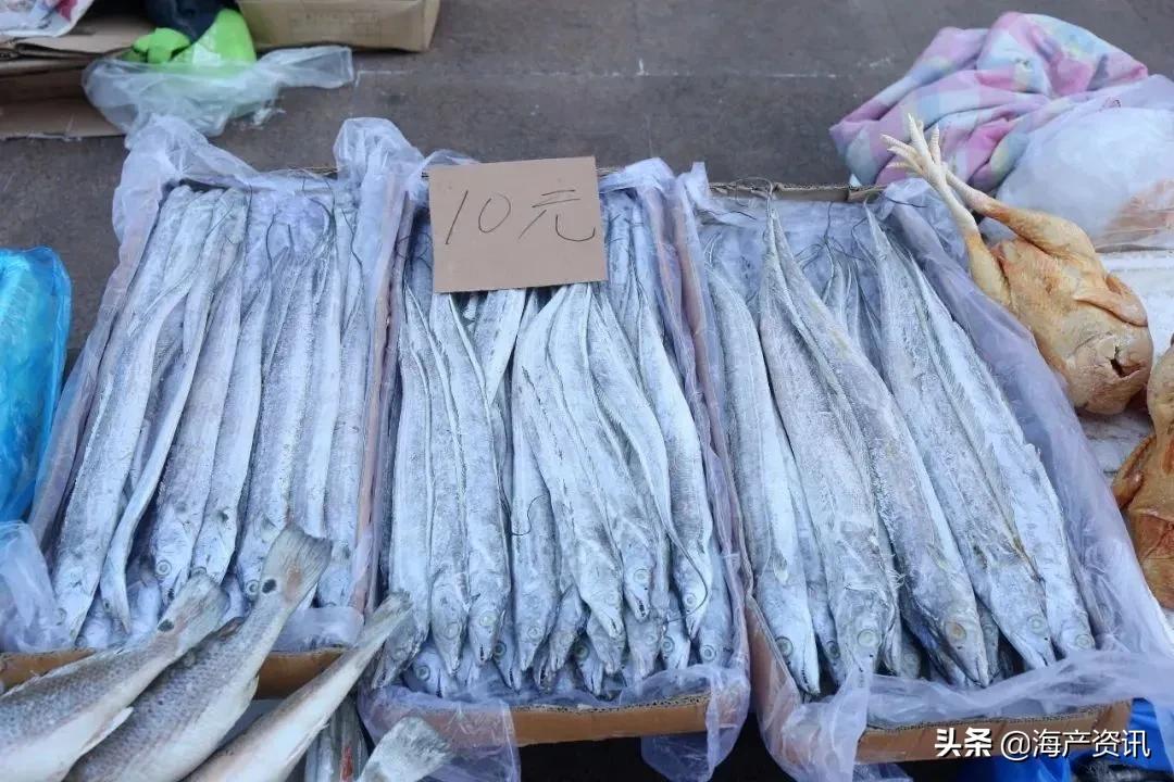 明明是纯天然的深海贵族，为什么却成了中国最平民的海鲜？