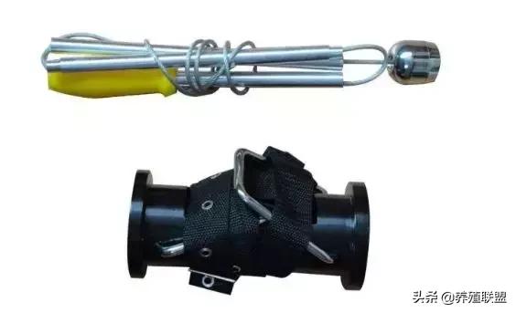 牛误食铁钉有什么症状,牛误食了铁钉怎么处理