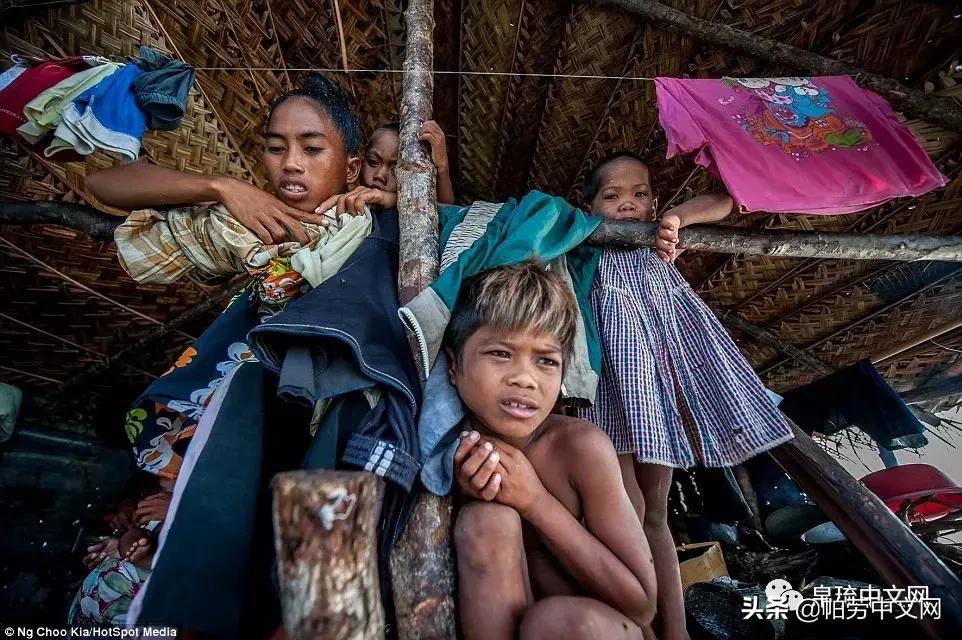 帕劳世界最美的海洋,加勒比海哪个国家景色好