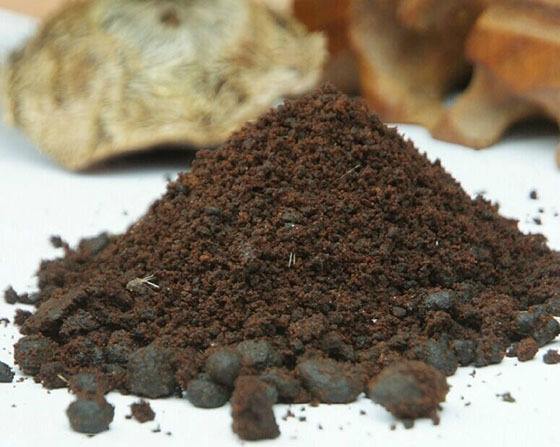 麝香水诱鱼效果怎么样,麝香诱鱼剂如何做