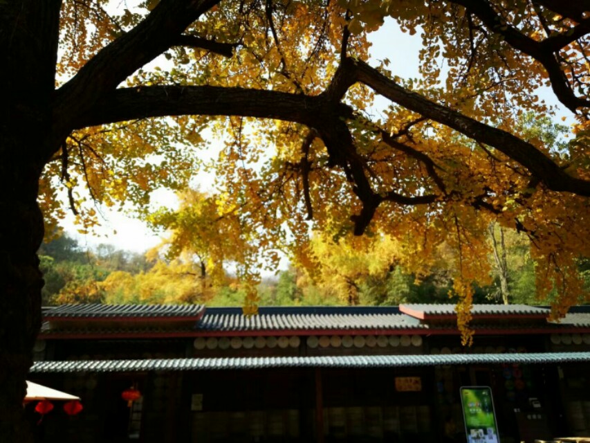 行走在路上寻找诗和远方,行走中有诗和远方