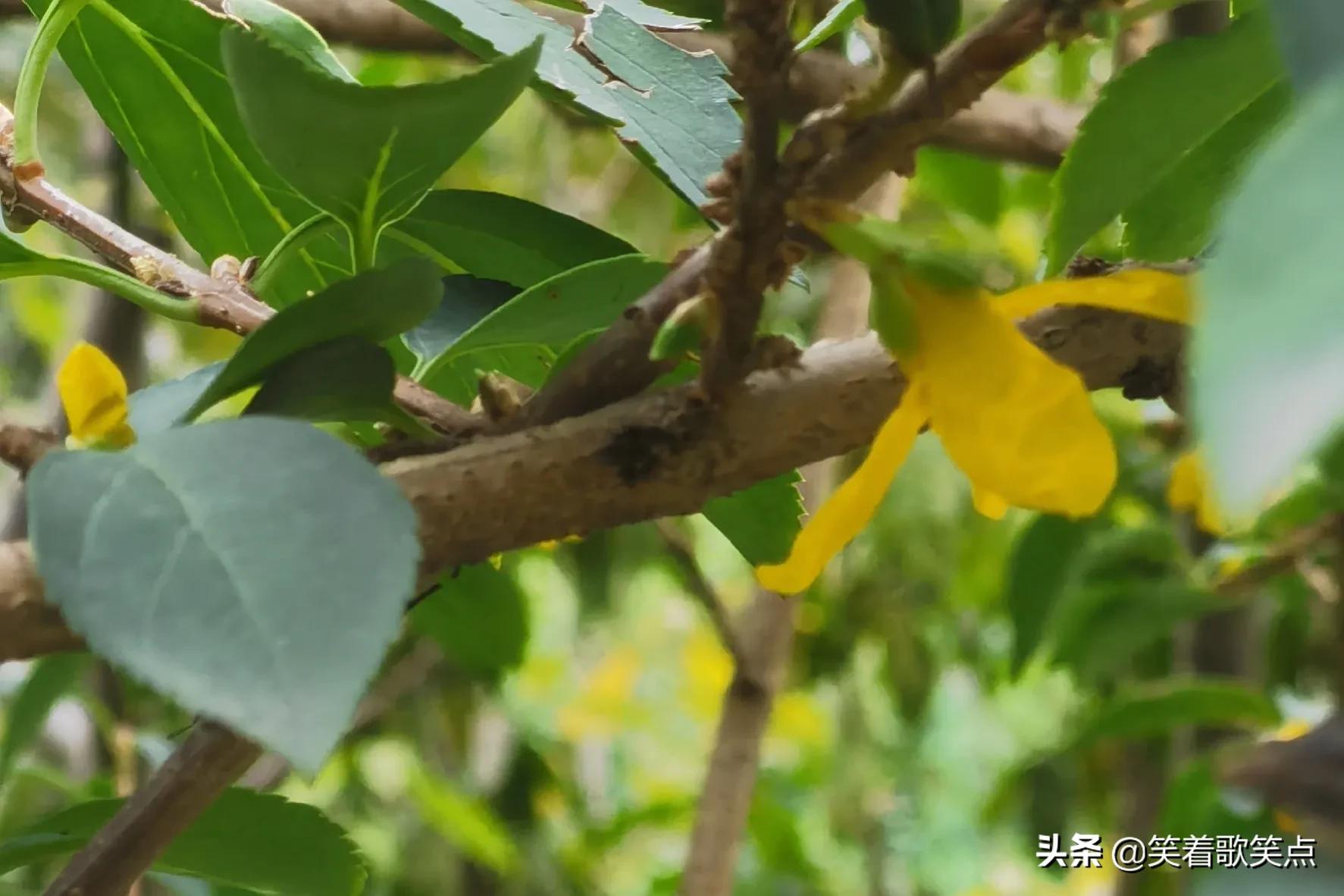 小小说丨出了事以后