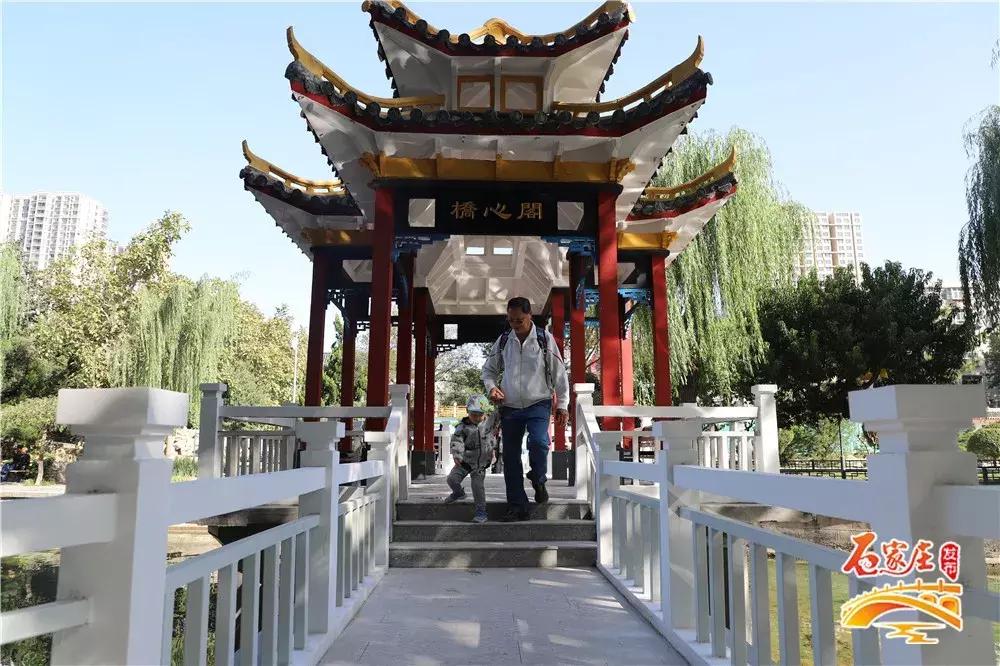 四十年前石家庄街景视频,石家庄40年