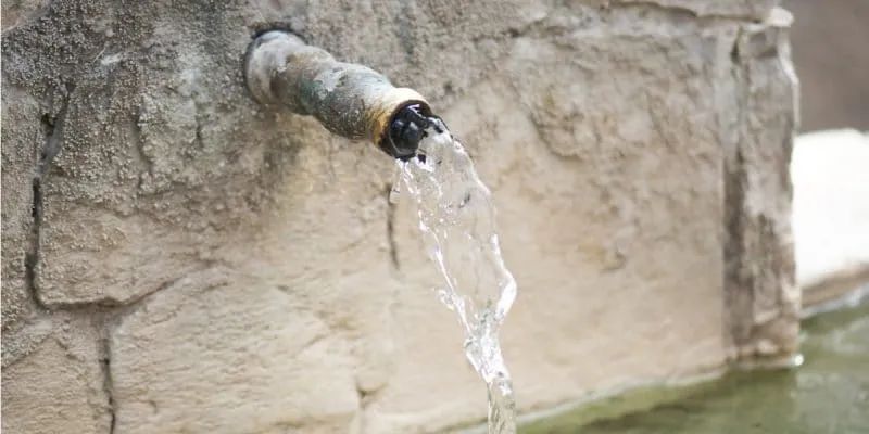 兰花浇自来水时间长会出碱怎么办,自来水浇花怎么去掉里面的白碱