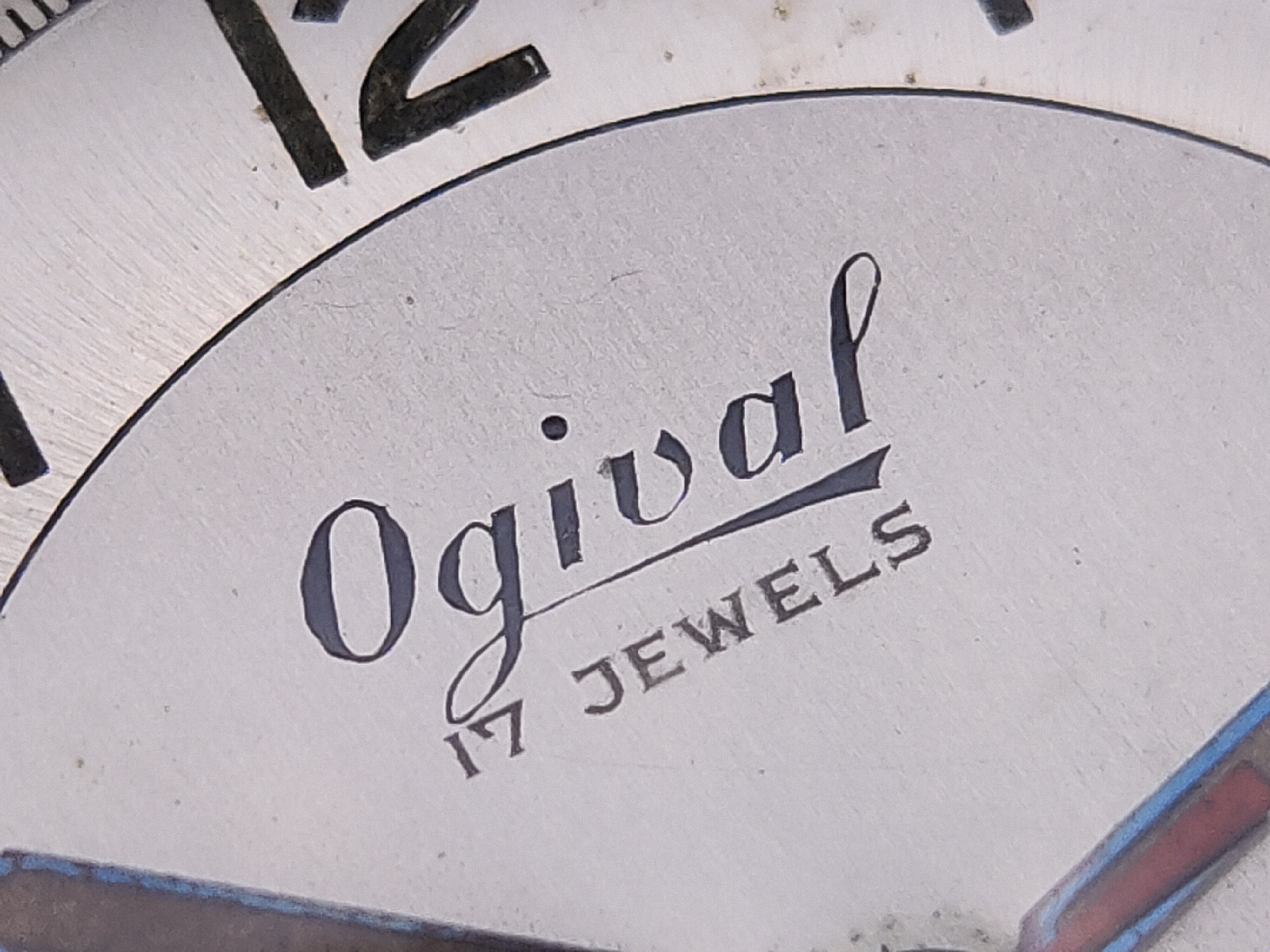 因为一条鱼爱上一个人,因一条鱼丢了一条命