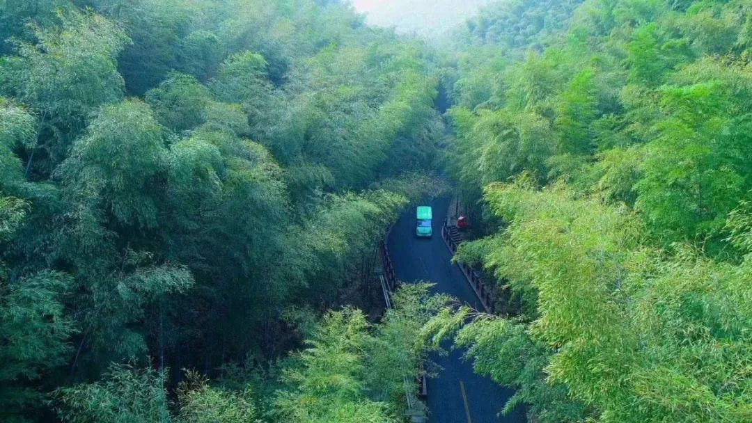 绳命是如此的精彩！网红僧人延参法师为宜兴春游踏青打call！