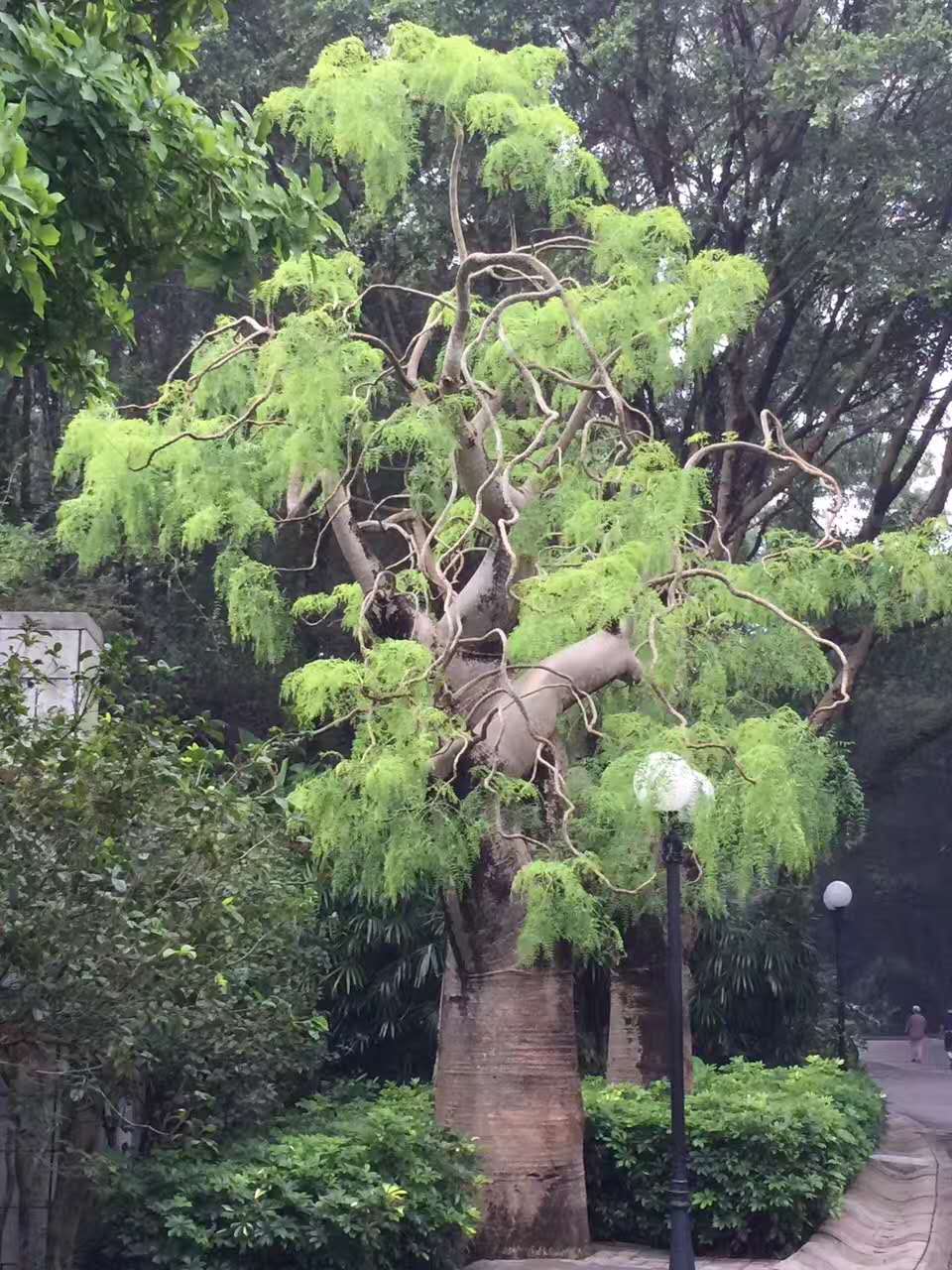 仁德汤汤沐五洲——怀念国医大师喻喜春先生