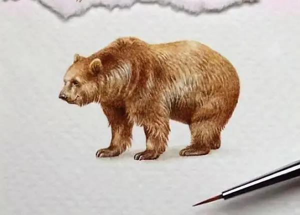 看透人心不说破的句子，多读几遍提神醒脑！