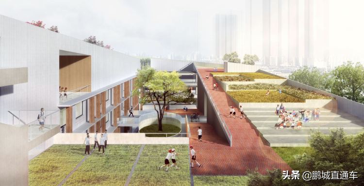 深圳市福田区石厦小学是不是公立,福田区石厦小学好不好