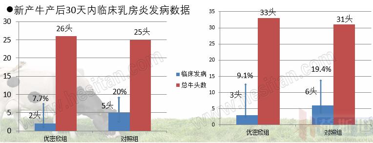 勃林格牛气学院首播|分享干奶期乳房炎管理秘诀