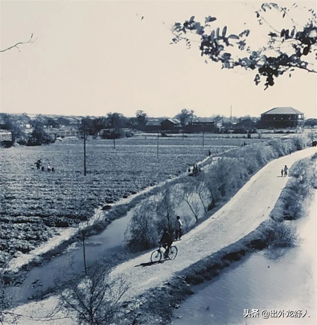 合肥杏花公园在什么地方,合肥杏花村离步行街近吗