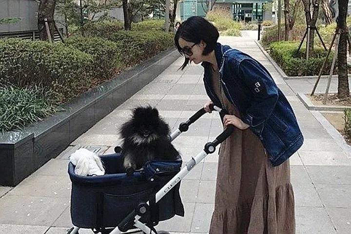 清潭洞夫妇谁是丈夫,清潭洞夫妇真实相貌