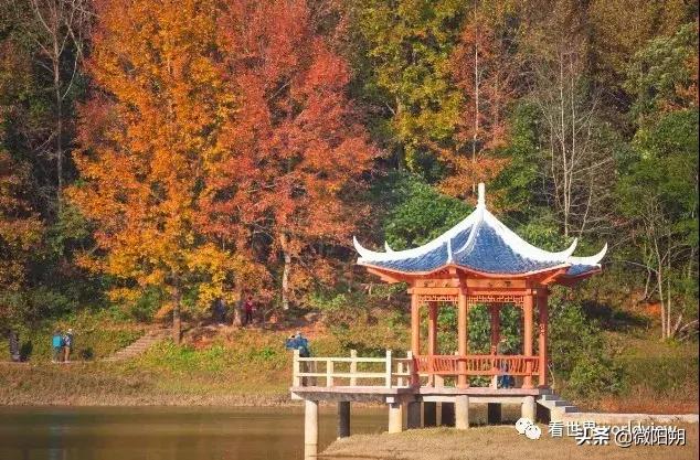 广西人丁最旺的地方,广西含硒最多的地方