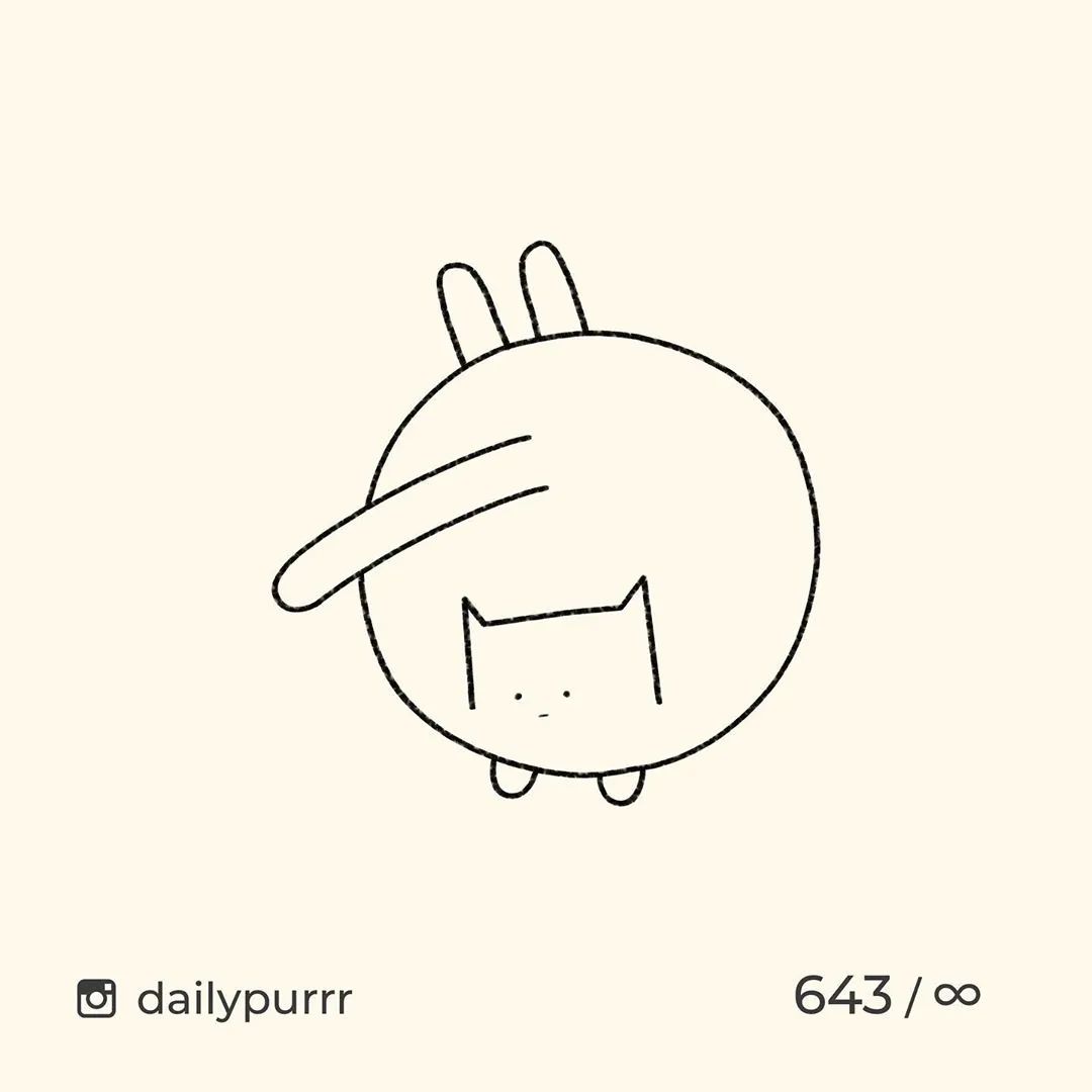 猫是一种液体吗看完长知识了,猫是液体猫咪吗