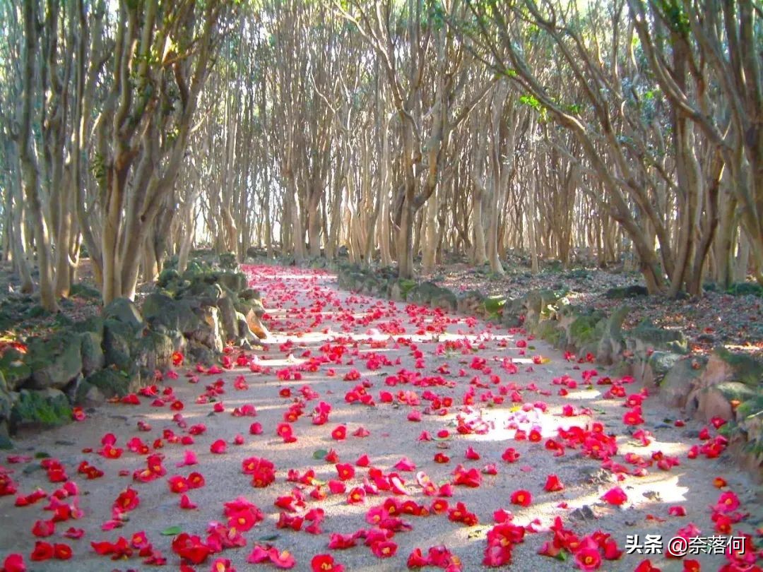 想去二次元,想去二次元的世界