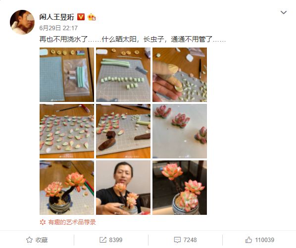 王昱珩上学经历,清华毕业的王昱珩