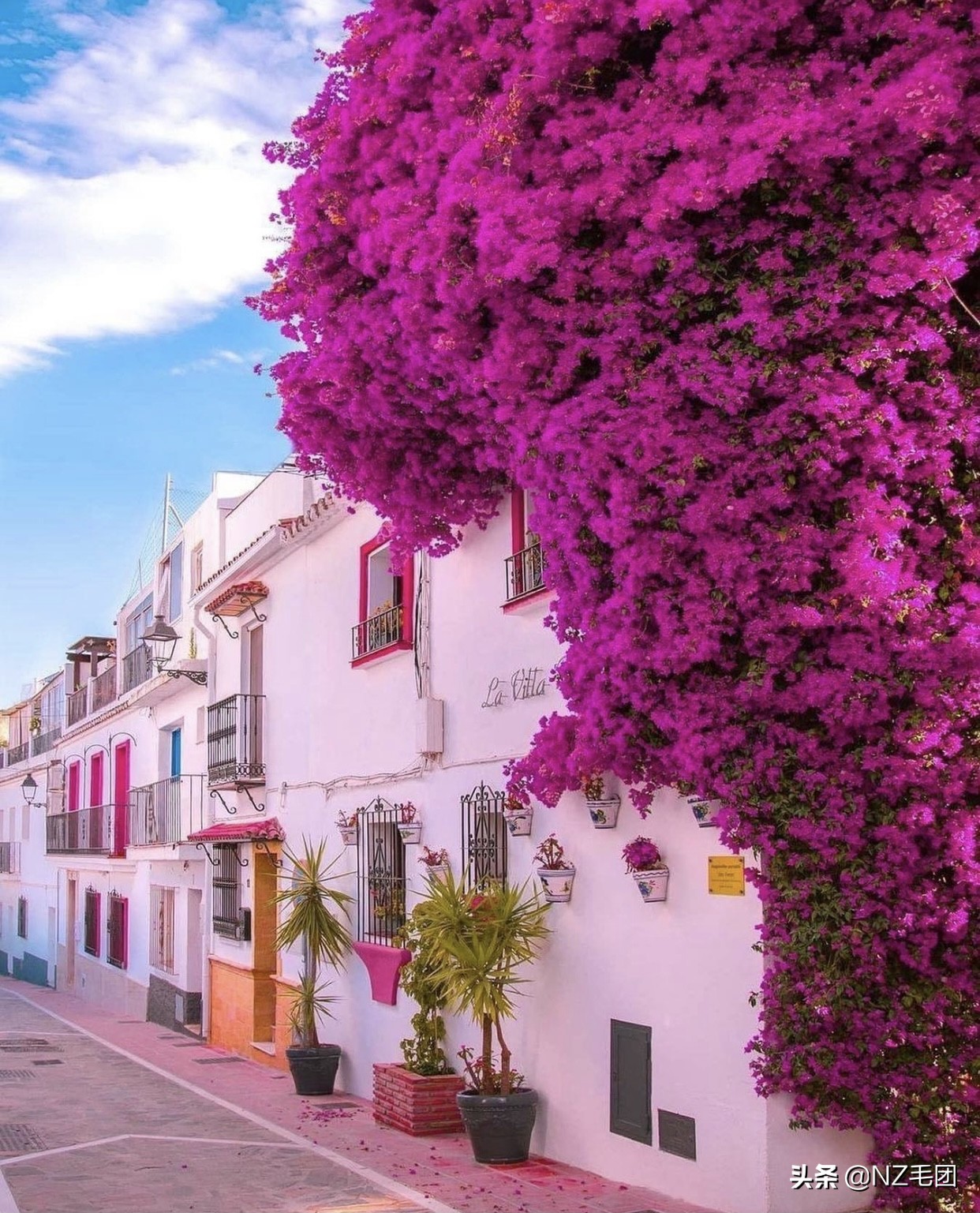 一个鸡蛋变成一座农场，小生意不知不觉也被你做大了