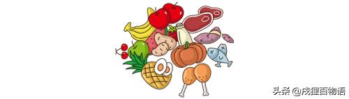 狗狗吃草吃土怎么回事,狗狗吃草呕吐黄沫和草应该怎么办