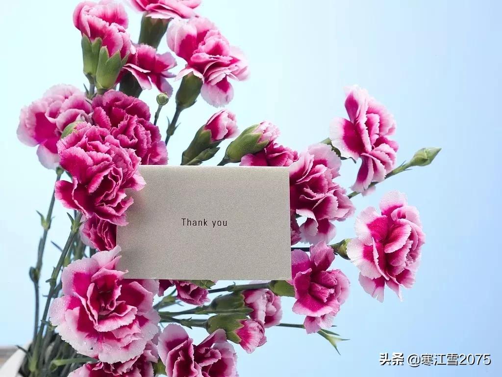 酒干倘卖无多少年了,酒干倘卖无还出现在哪首歌里