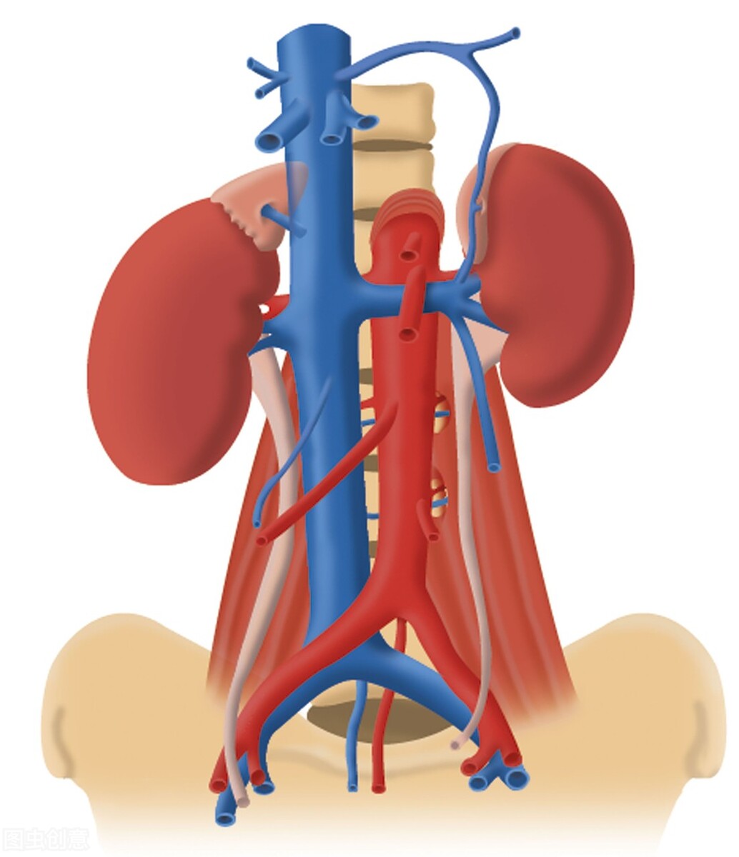 前列腺增生栓塞术适合年轻人吗,前列腺增生做动脉栓塞术有效吗